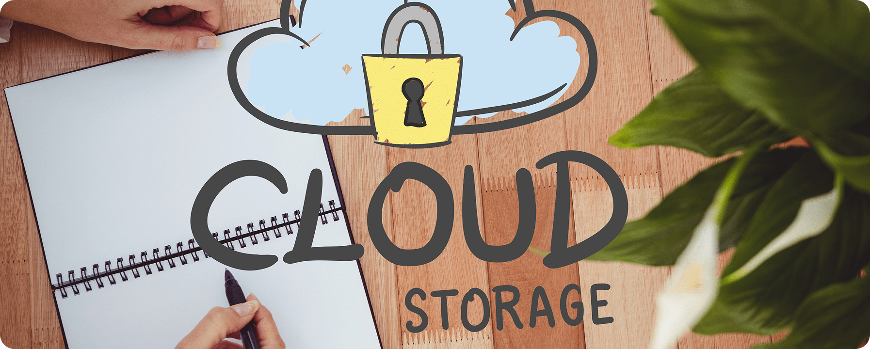 Cloud Backup Setup Guide
